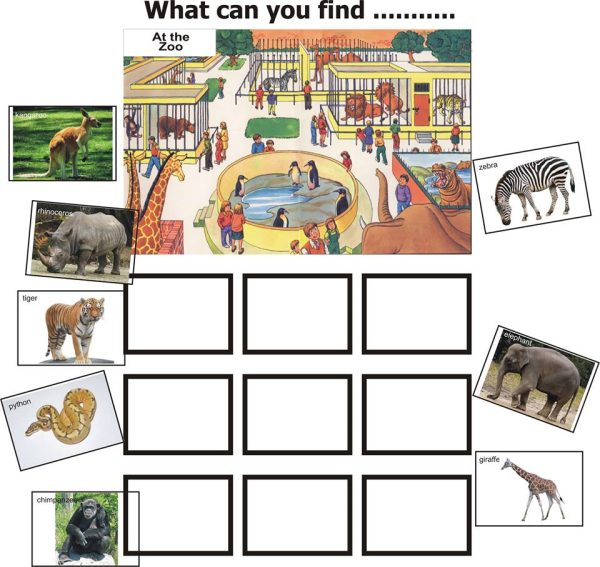 What can you find in the Zoo – Classification Games