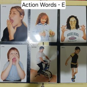 ACTION WORDS SET E