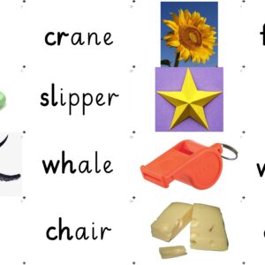 120 PHONIC BLENDS READ AND MATCH